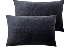 NTBAY 2 Pack Zippered Velvet Queen Pillowcases, Super Soft and Cozy Luxury Fuzzy Flannel Pillow Cases with Zipper, 20x30 Inches, Charcoal Grey