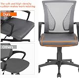 Yaheetech Dark Grey Ergonomic Office Chair Mid-Back Mesh Lumbar Support view 4