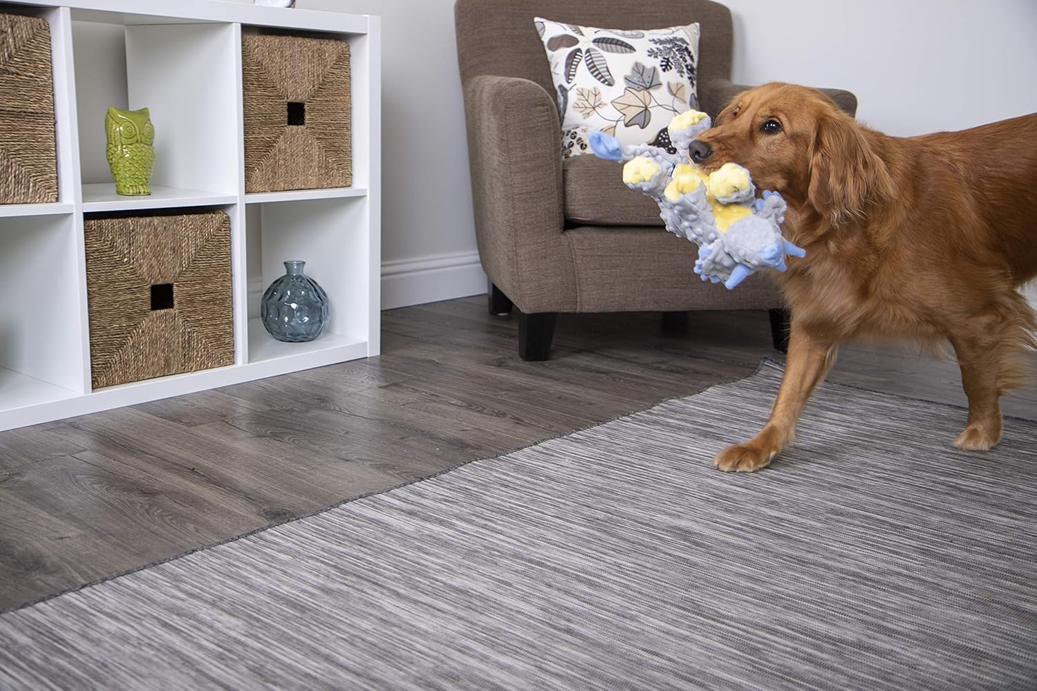 Pet Supplies : Pet Chew Toys : goDog Dinos Triceratops With Chew Guard Technology Tough Plush Dog Toy, Grey, Large : 