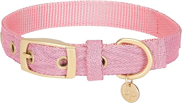 designer dog collar uk