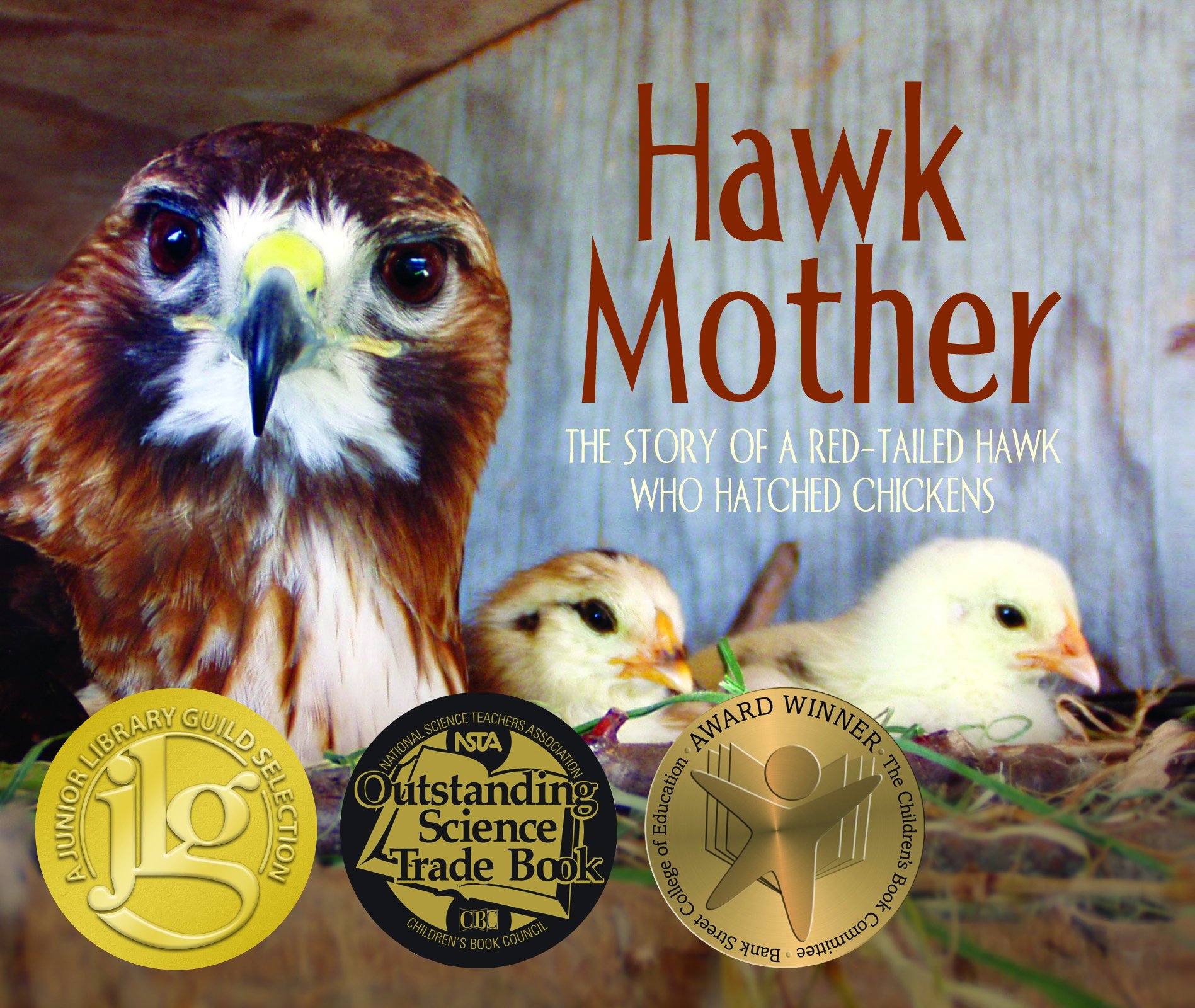 Hawk Mother The Story Of A Red Tailed Hawk Who Hatched Chickens Hagedorn Kara Amazon Com Books
