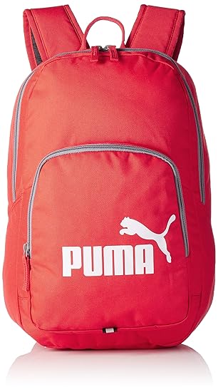 Phase Backpack 21 Ltrs Red Casual Backpack (7358919)