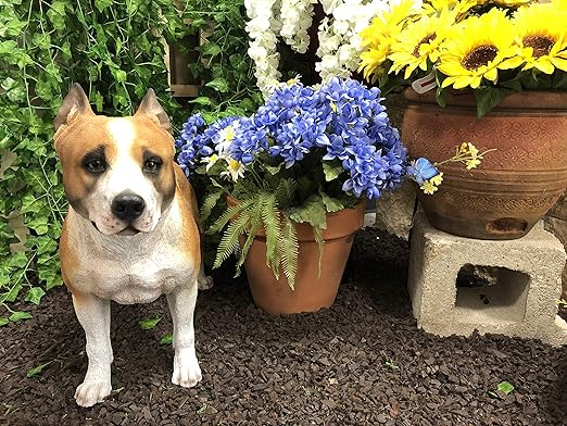 large pit bull breeds