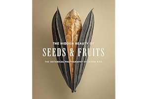 The Hidden Beauty of Seeds & Fruits: The Botanical Photography of Levon Biss