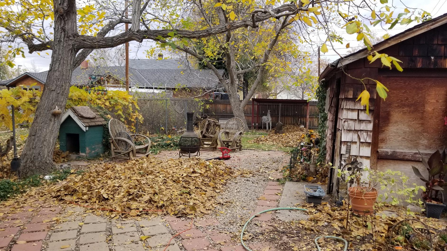 28/mo Finance Flowtron LE900 The Ultimate Mulcher Electric Leaf