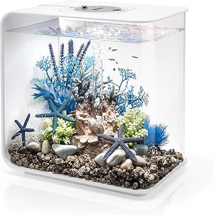 Amazon Com Biorb Flow 30 Aquarium With Mcr Lighting 8 Gallon