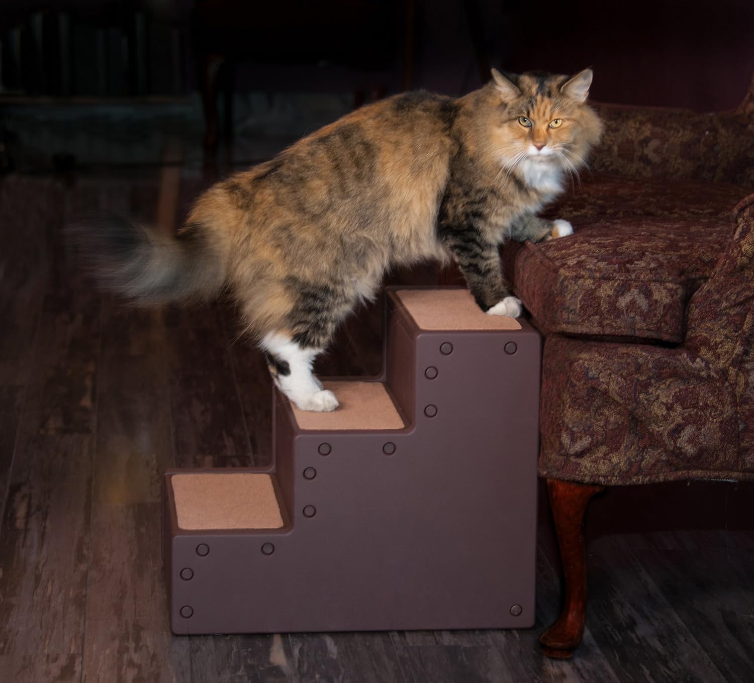 Pet Gear Pet Step with stair landing for small dogs, miniatures, and cats, for pets up to 50 pounds : Pet Supplies