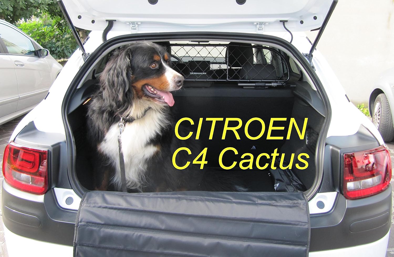 Ergotech Trennnetz Hundenetz Rda65 Xxs8 Kct014 Fur Hunde Und