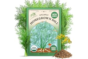 Seedboy Organic Dill Seeds for Planting Indoor and Outdoor, Non-GMO and USDA Certified Herb Seed Packet for Hydroponic Garden Indoor or Planting Outdoors (Bouquet Dill)