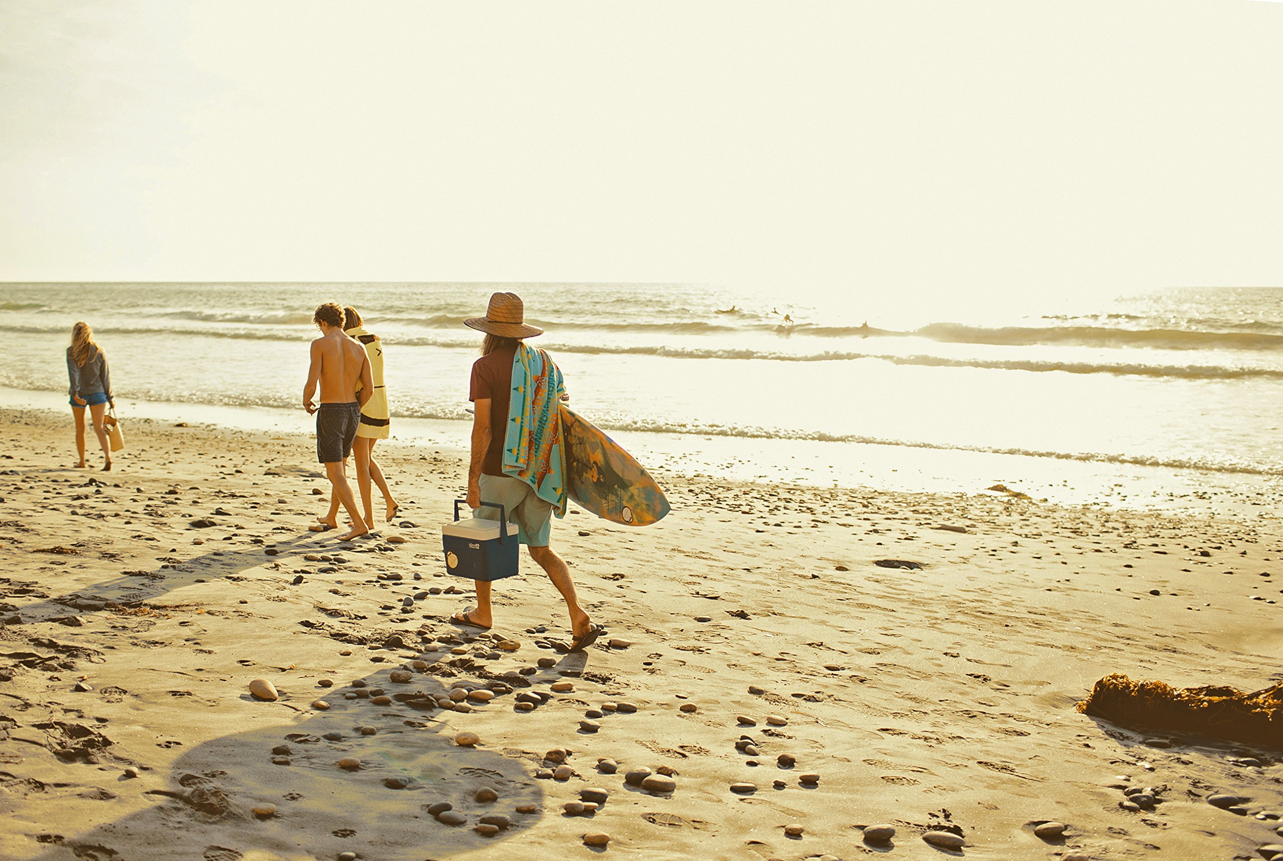 Sun Bum Face Lotion SPF 50 |Oil Free and Dermatologist Tested for Sensitive Skin | Reef Friendly Broad Spectrum UVA / UVB Protection | Water Resistant | Gluten Free, Vegan | 3 OZ Bottle