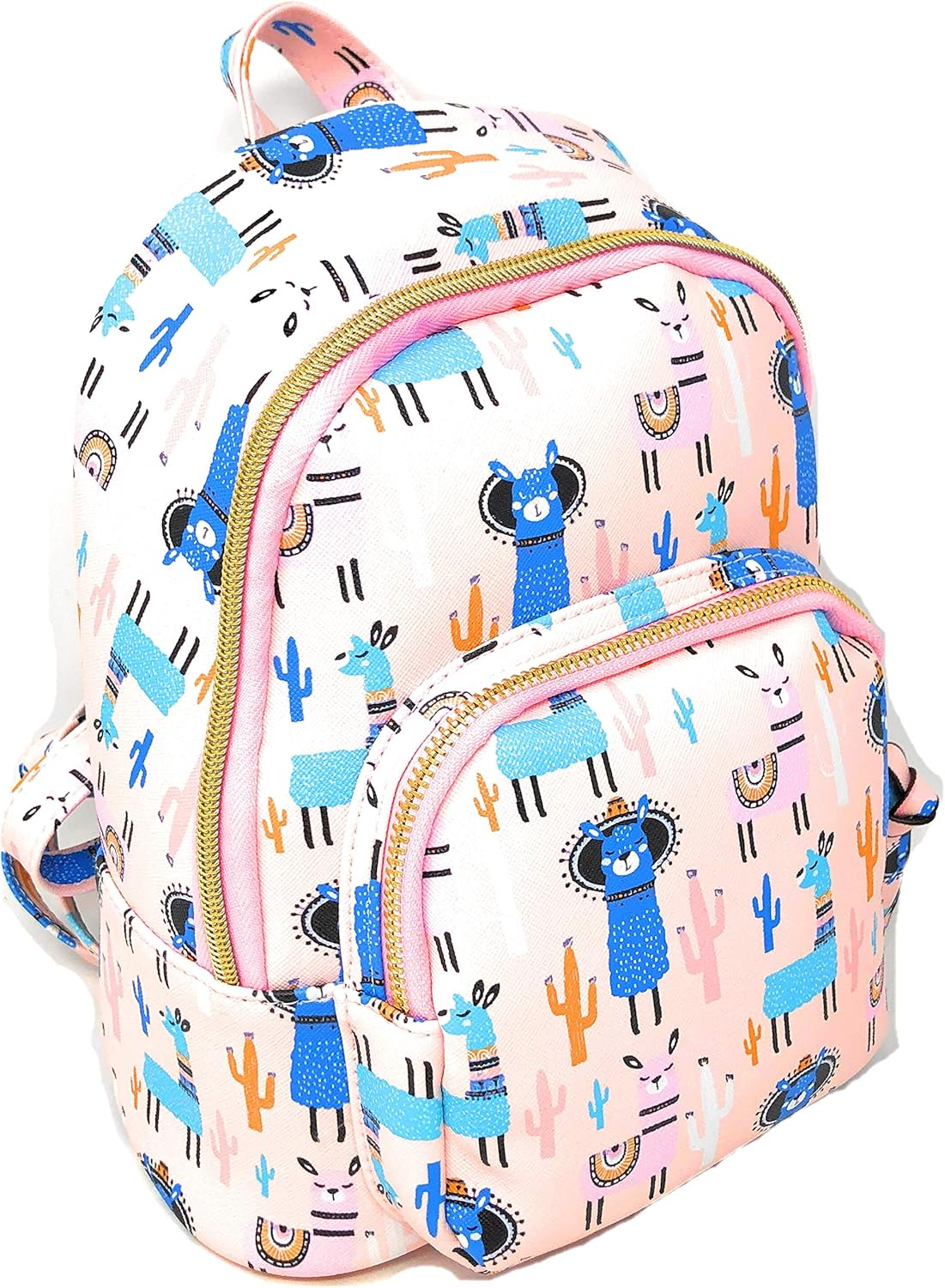 cactus backpack jansport