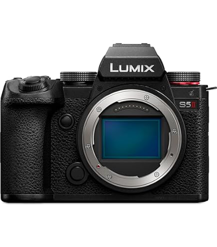 シャッター回数1146 LUMIX S5Ⅱ ボディ極美品 純正バッテリー2個 Amazon.com: Panasonic LUMIX S5II Mirrorless Camera, DC-S5M2BODY