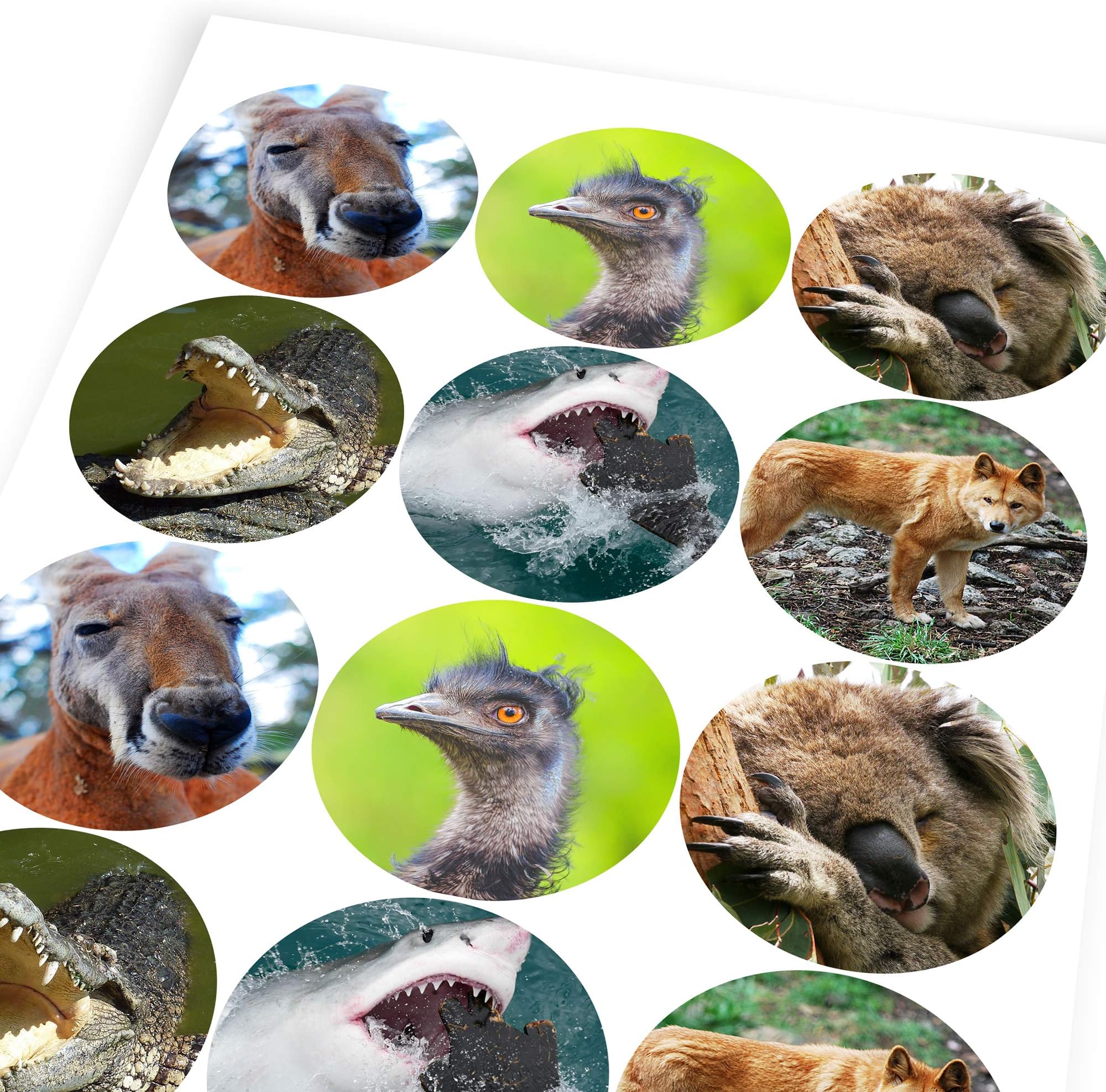 Chunky Hamster Australian Animals, Reward Sticker Labels, (12 Stickers @ 6.5cm), Children, Parents, Teachers