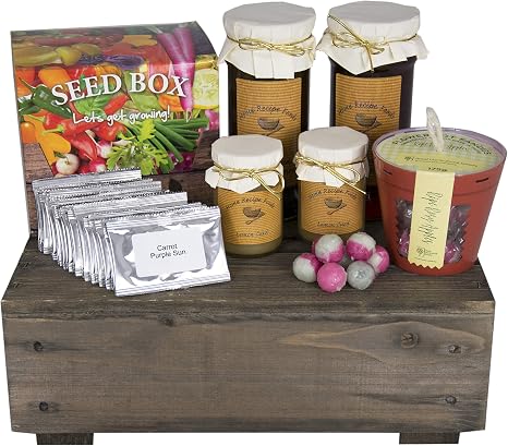 New Scott Co Seed Kit Gifts For Gardeners Hamper Amazon Co Uk Garden Outdoors