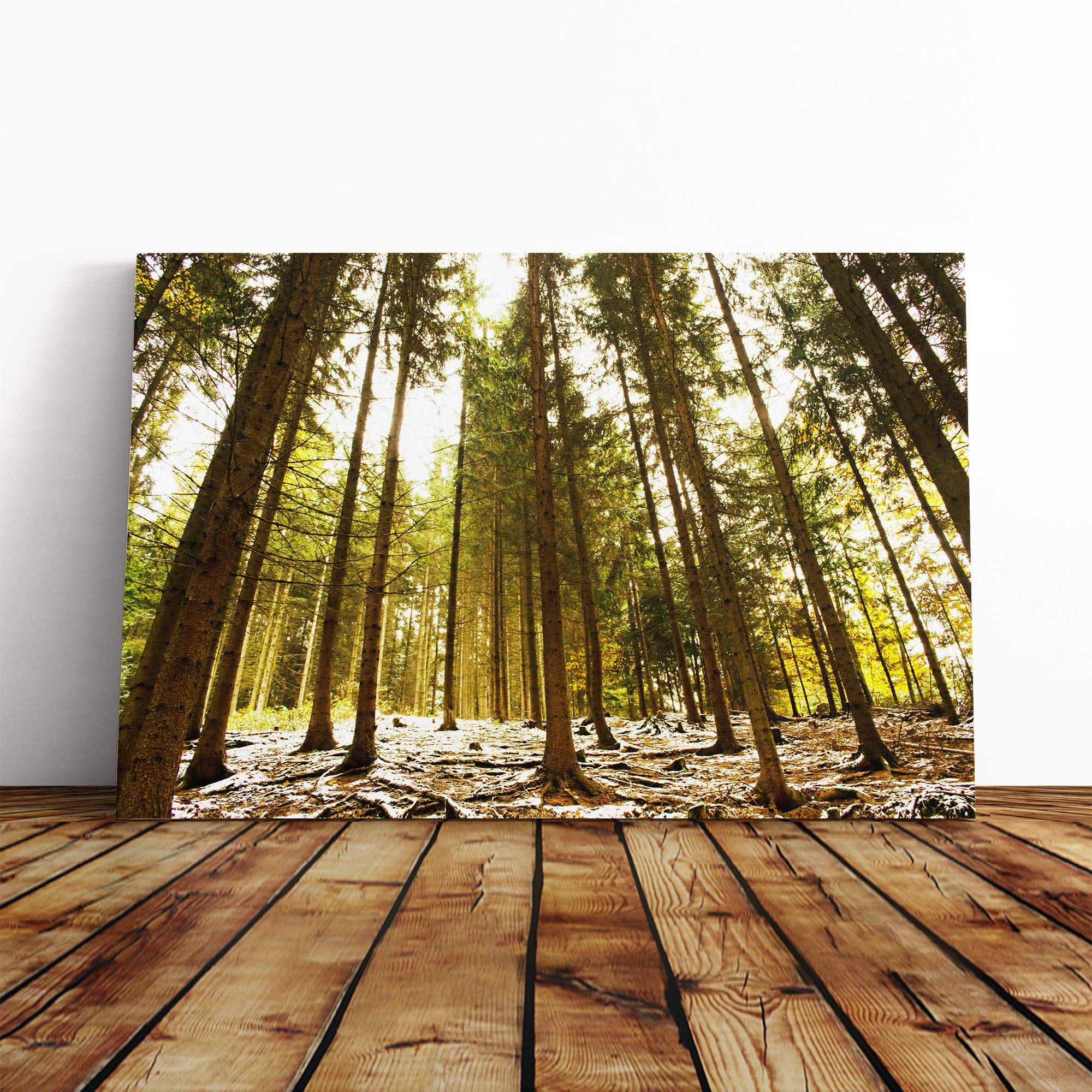Landscape Winter Forest Canvas Print | Gallery Wrapped 30mm Frame Wall Art | 20x14 inches | Ready to Hang | Modern Landscape Picture | Living Room Bedroom Lounge Office