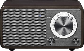 bluetooth speaker with radio tuner