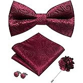 JEMYGINS Mens Paisley Bow Tie and Lapel Pin Necktie Pocket Square and Tie Clip with Sets for Business Casual 4PCS