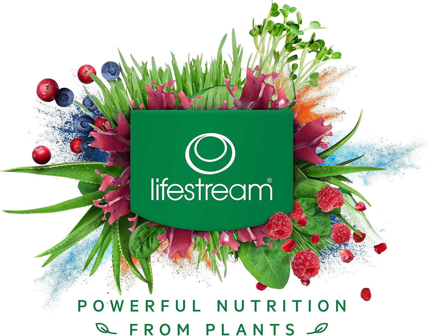 Certified Organic Wheat Grass Powder 250g, Alkalising and Detoxifying, Detox, Immune System, Vegan, No Added Dairy, Soy - Image 5