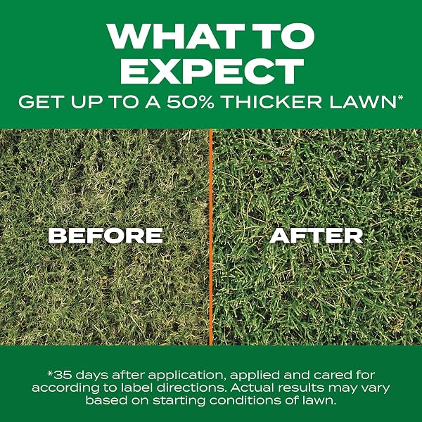 SCOTTS TURF BUILDER THICK’R LAWN BERMUDAGRASS – COVERS 1,200 SQ. FT., COMBINATION SEED, FERTILIZER AND SOIL IMPROVER, FILL AND REPAIR GAPS IN THIN LAWNS AND ENHANCE ROOT DEVELOPMENT, 12 LB.