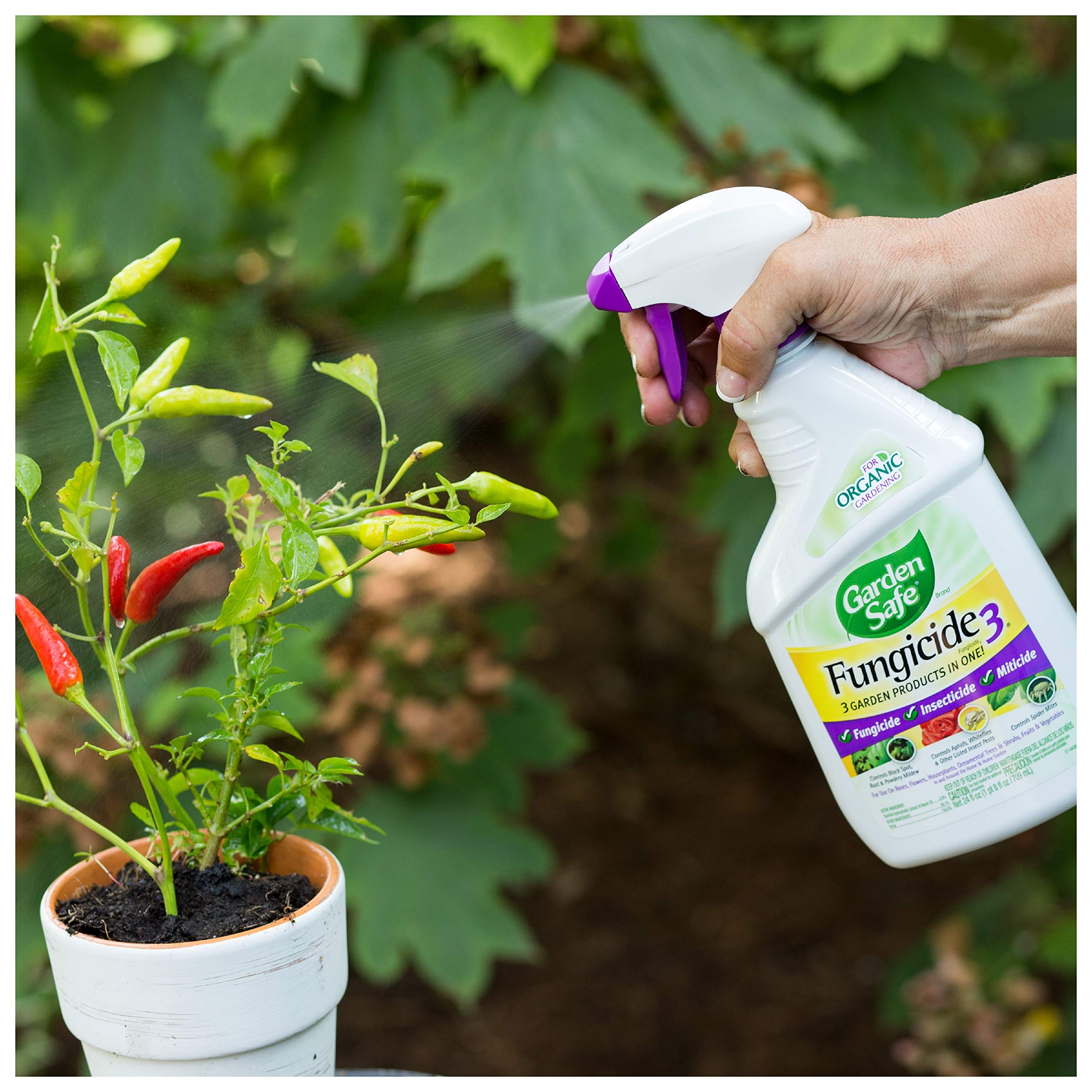 Garden Safe Brand Fungicide3, ReadytoUse, 24Ounce Buy