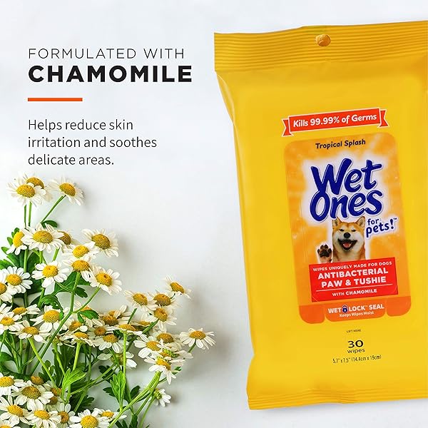 WET ONES FOR PETS PAW & TUSHIE DOG WIPES WITH CHAMOMILE, TROPICAL SPLASH SCENT – CLEANSING DOGGIE WIPES FOR BETWEEN BATHS, SCENTED TRAVEL GROOMING WIPES, DOG WIPES FOR PAWS AND BUTT, 30 COUNT