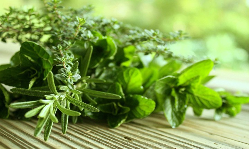 Aforkandapencil - //medicalbooks.filipinodoctors.org