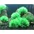 BEGONDIS 4Pcs Aquarium Decorations Fish Tank Artificial