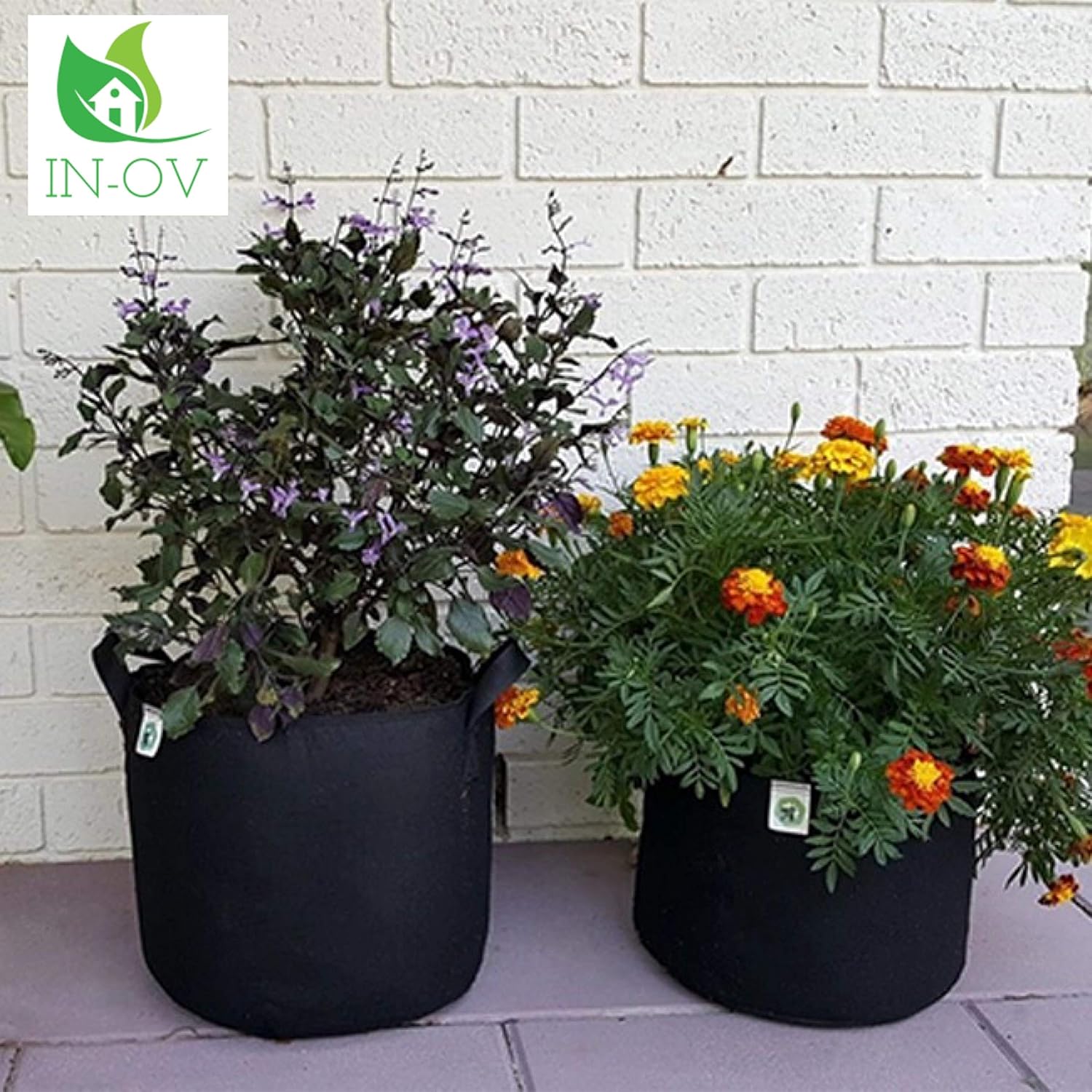 Mastello Per Coltivazione Con Manici 50L 50x35,5x40cm - Foto 8