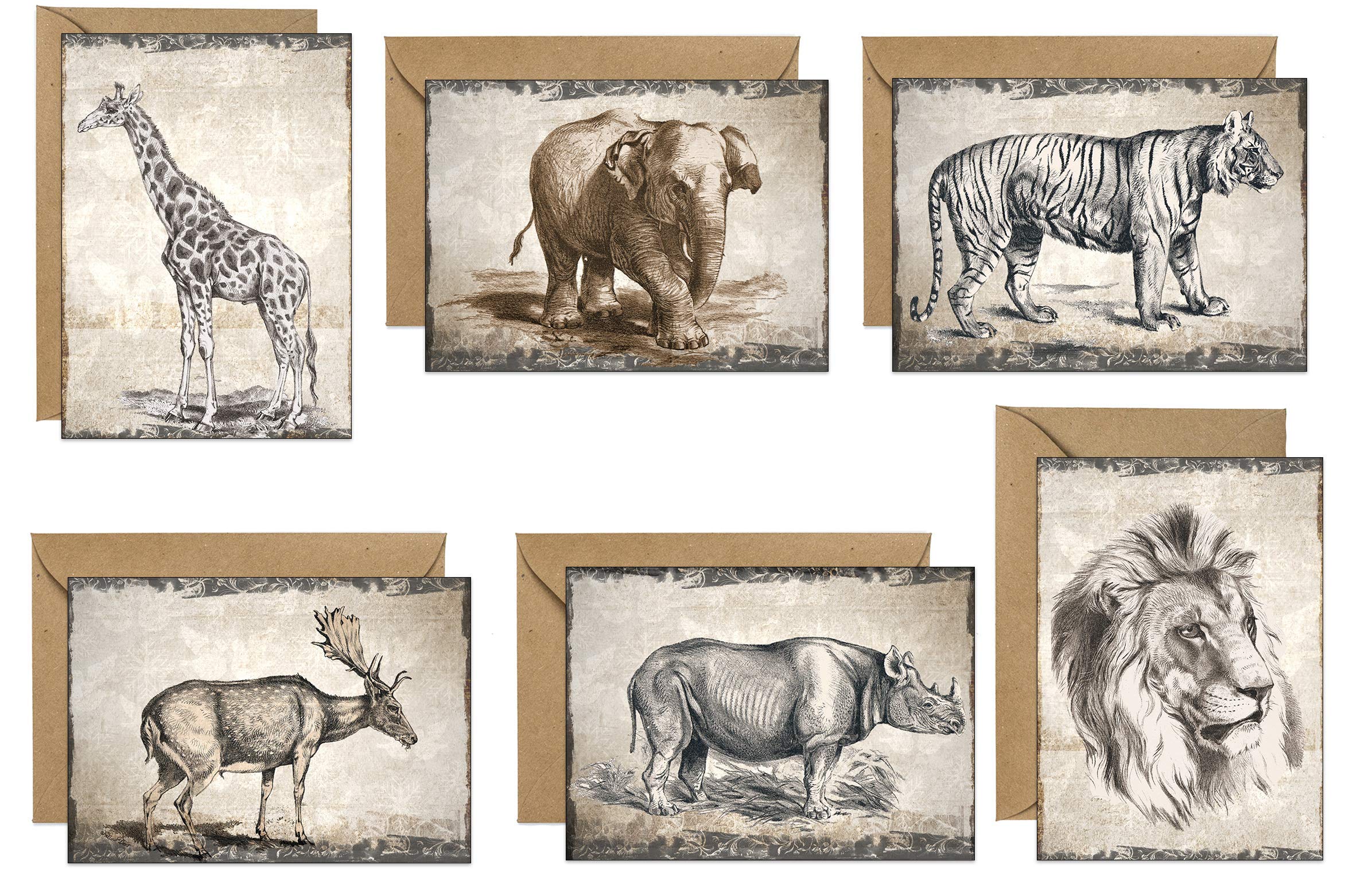 48 Eco-Friendly Blank Artist Drawn Greeting Cards Drawn