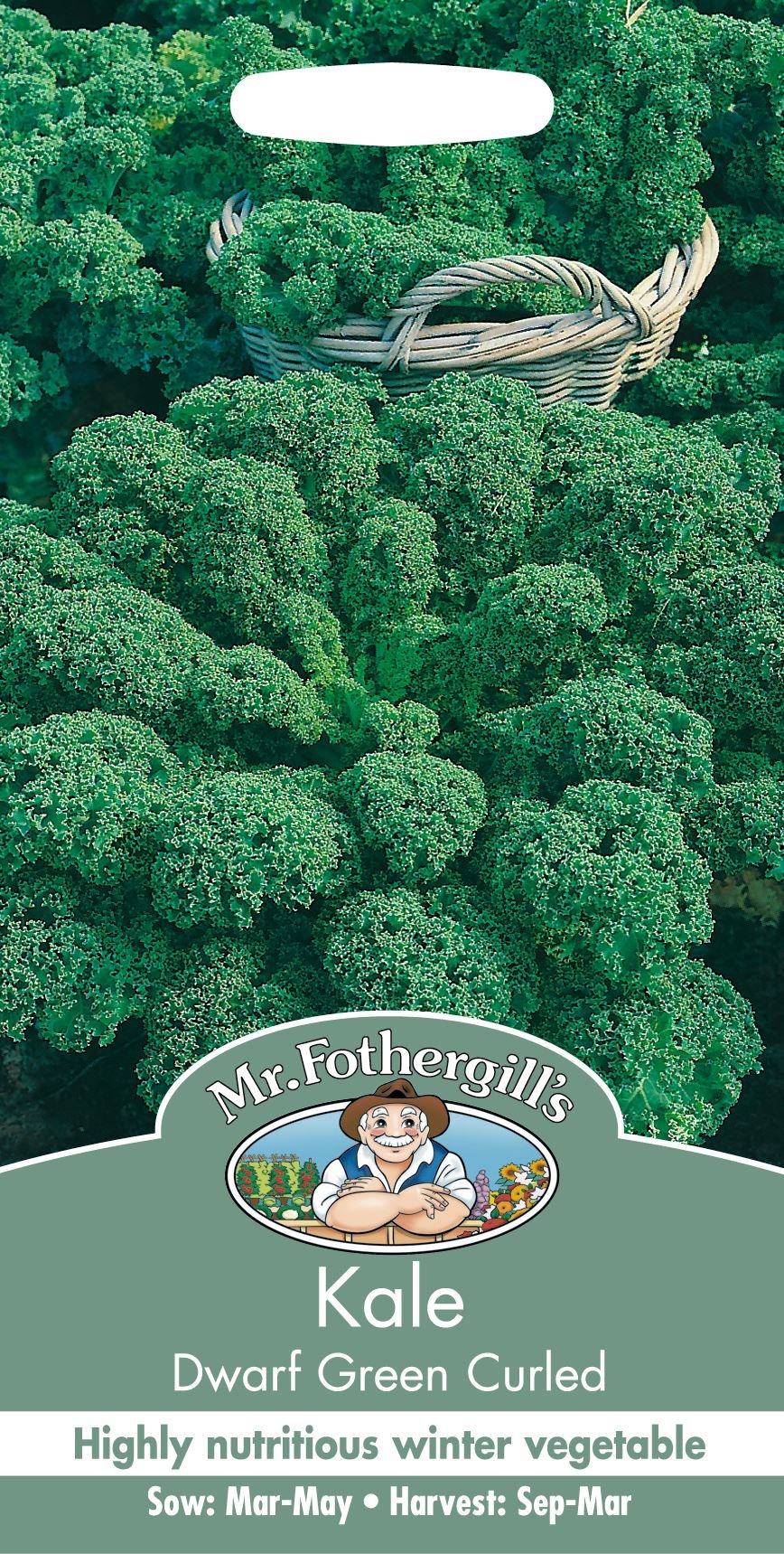 Mr Fothergills - Pictorial Packet - Vegetable - Kale Dwarf Green Curled - 400 Seeds