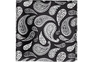 MANSPHIL Paisley Silk Pocket Square for Men, Suit Handkerchief for Tux Wedding Prom