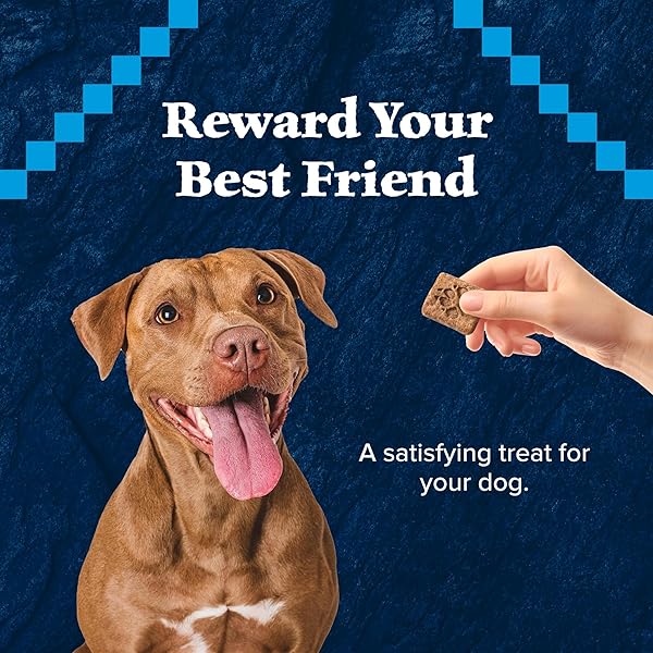 BLUE BUFFALO WILDERNESS TRAIL TREATS HIGH PROTEIN GRAIN FREE DOG BISCUITS CRUNCHY DOG TREATS, DUCK RECIPE, 10-OZ BAG