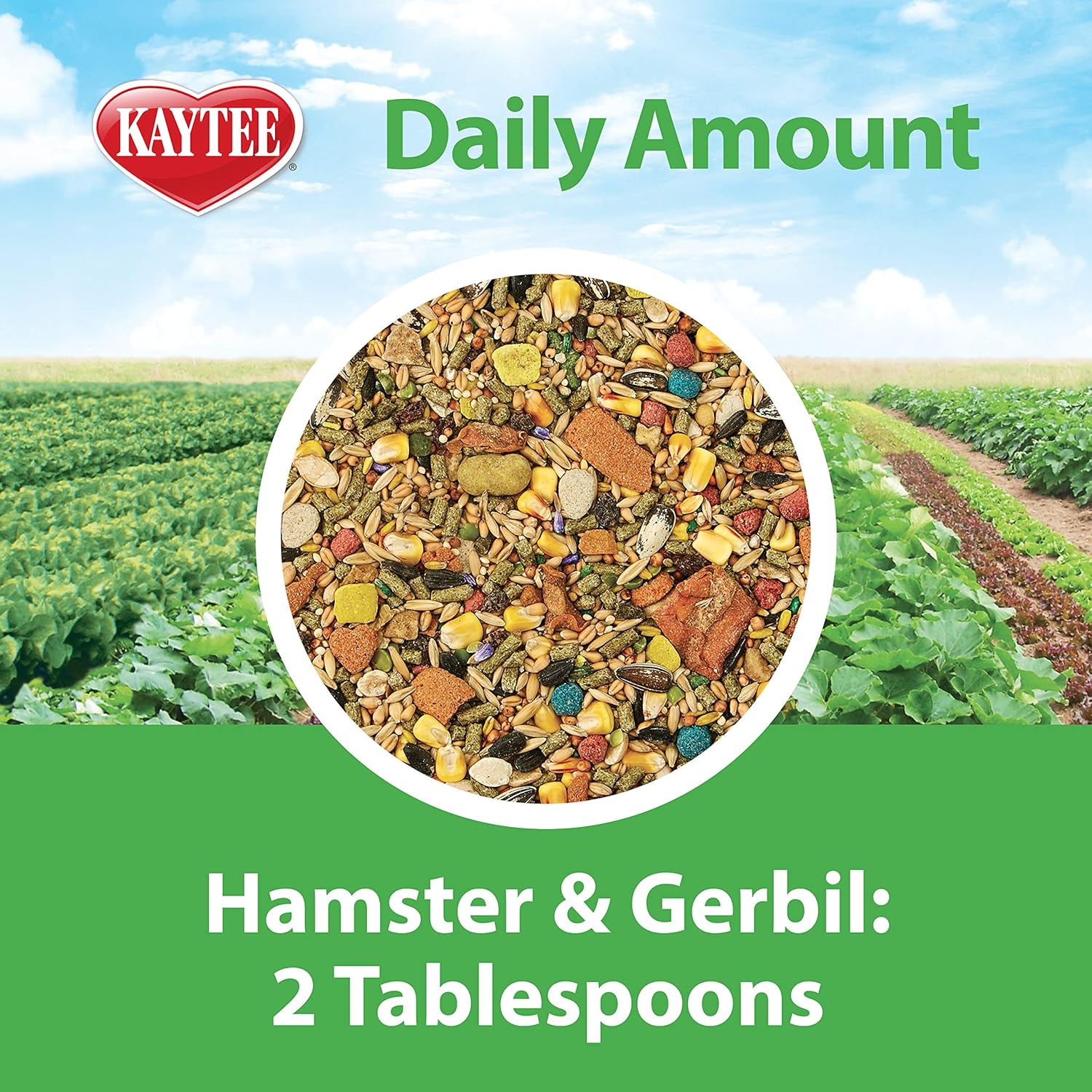 Kaytee Fiesta Hamster And Gerbil Food, 4.5-Lb Bag : Pet Food : Pet Supplies