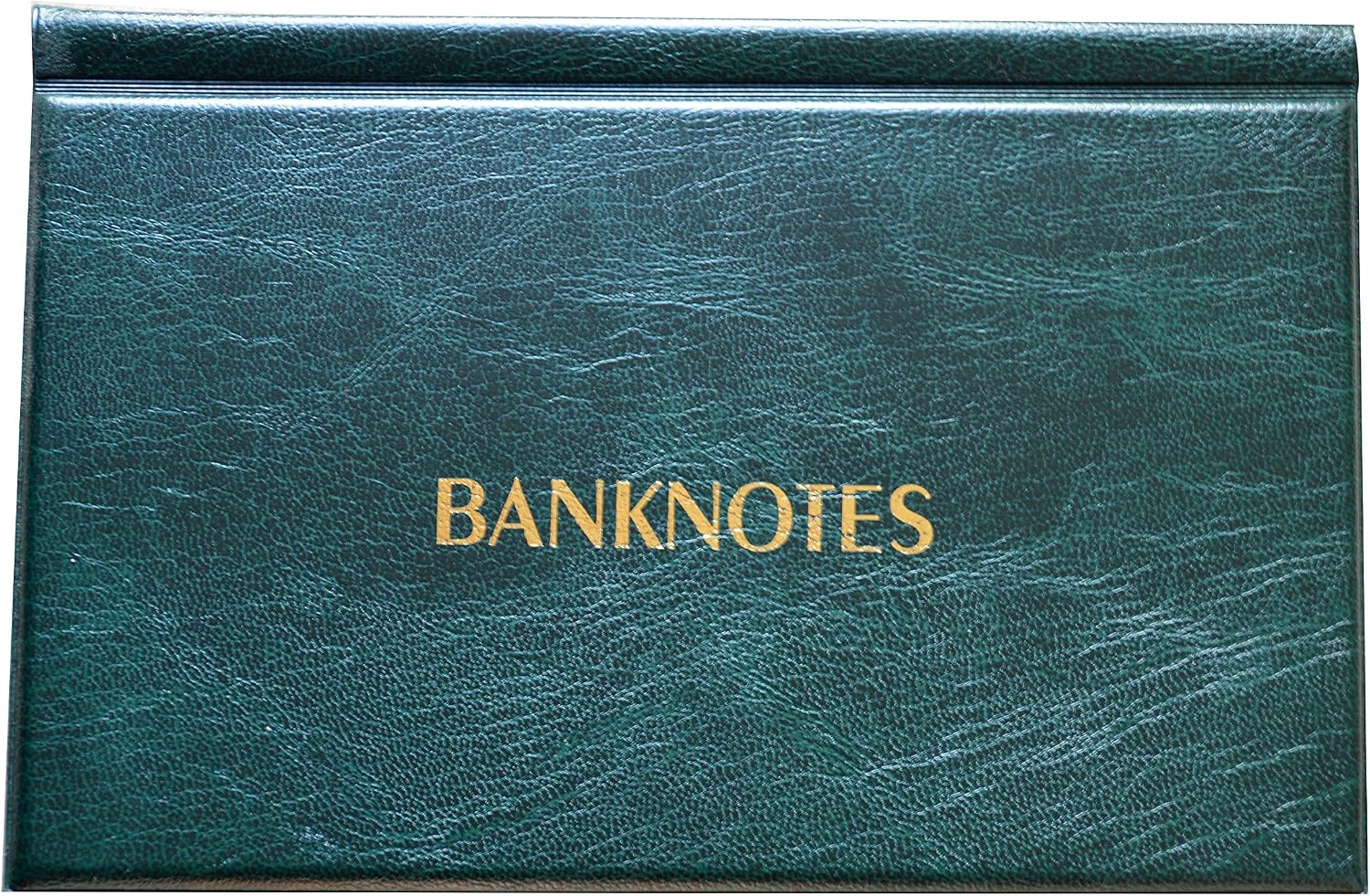 COLLECTOR ALBUM FOR BIG BANKNOTES NOTES Banknote Album with 20 pages 11x19cm (GREEN), Medium
