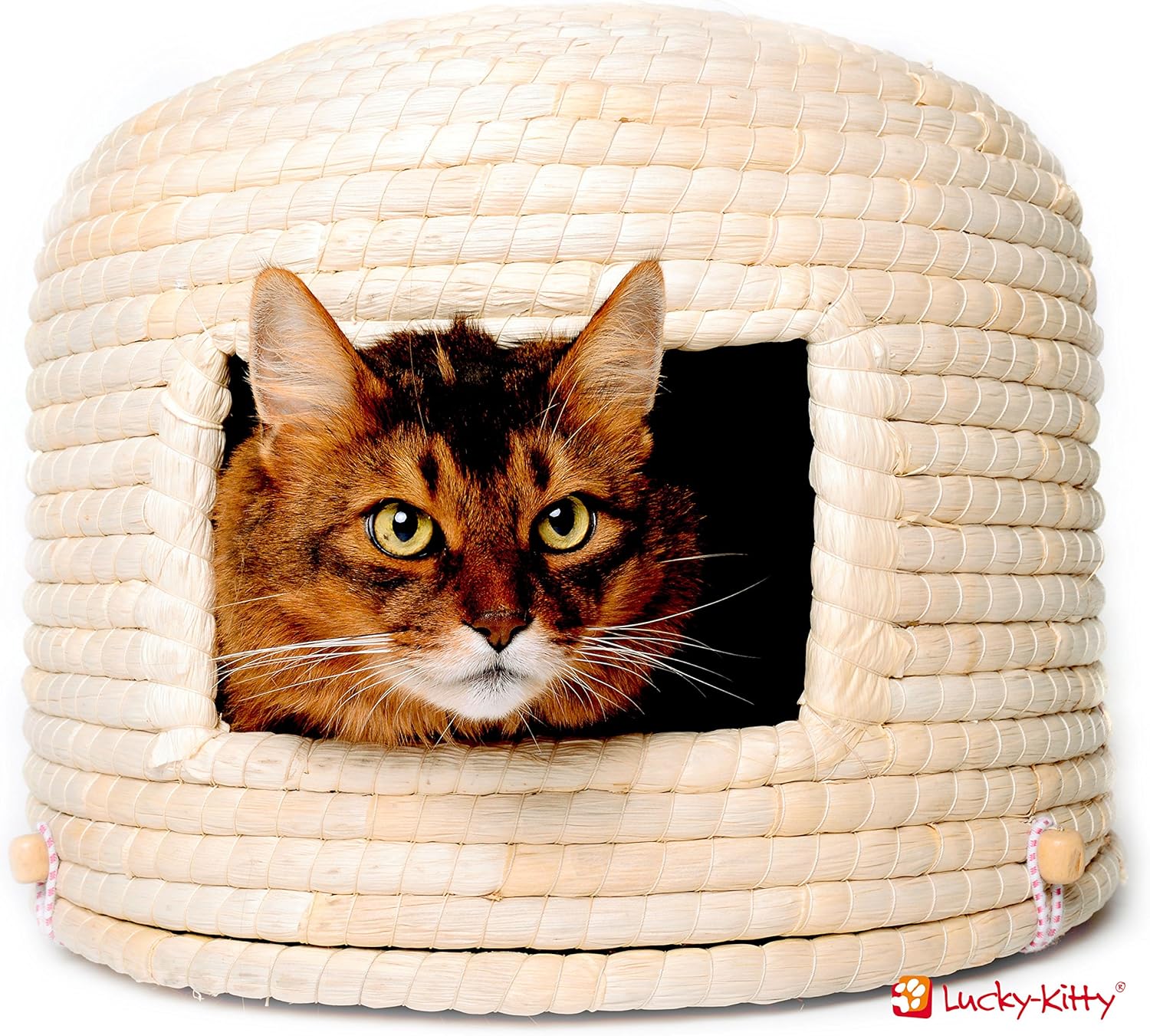 Lucky Kitty NekoChigura Cat Bed Amazon.co.uk Pet Supplies