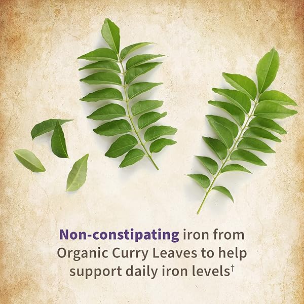 GARDEN OF LIFE ORGANICS PRENATAL VITAMIN: FOLATE FOR ENERGY & HEALTHY FETAL DEVELOPMENT, NON-CONSTIPATING IRON, VITAMIN C, B6, B12, D3 – ORGANIC, NON-GMO, GLUTEN-FREE, VEGAN, 90 DAY SUPPLY