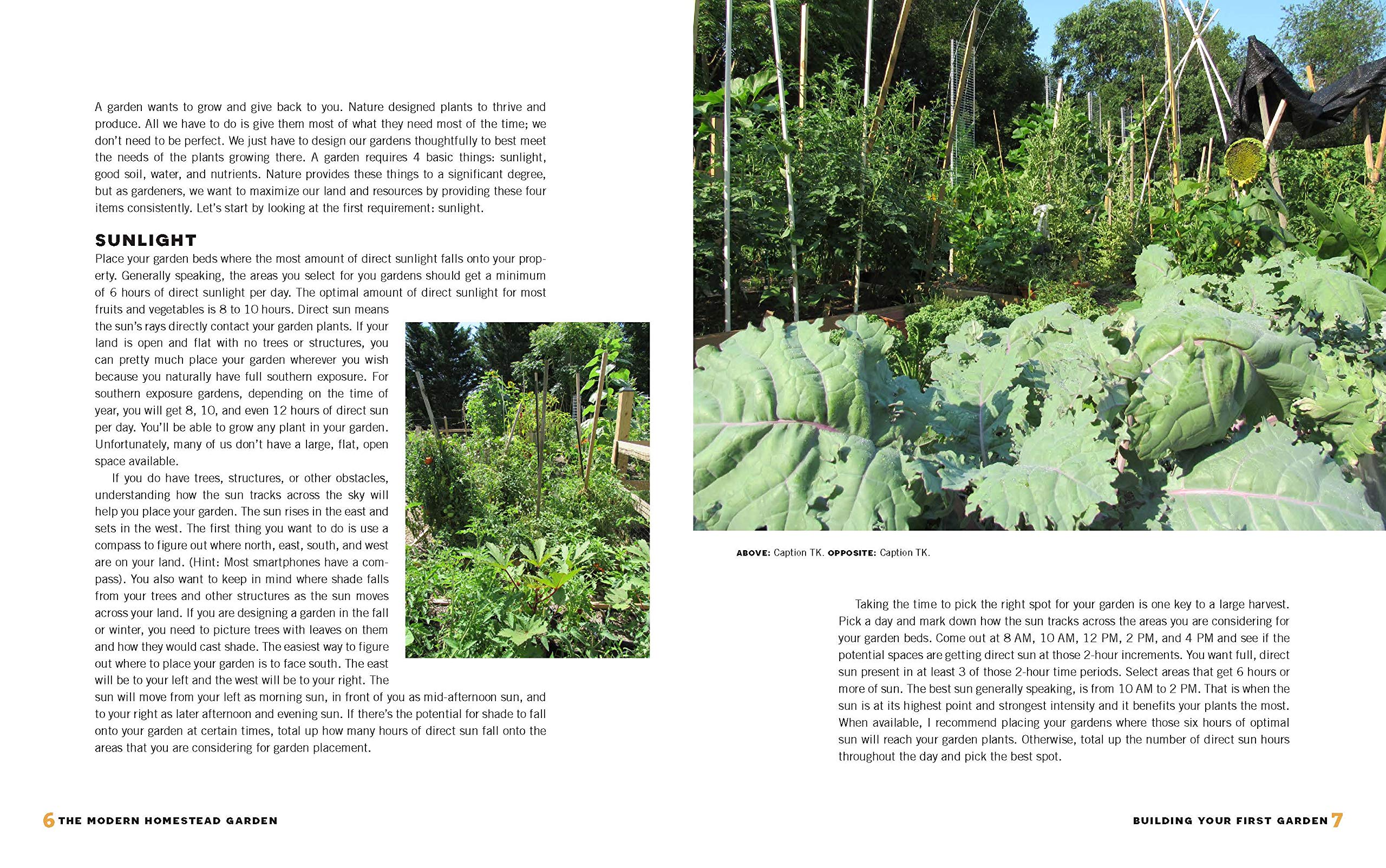 The Modern Homestead Garden: Growing Self-sufficiency in Any Size Backyard