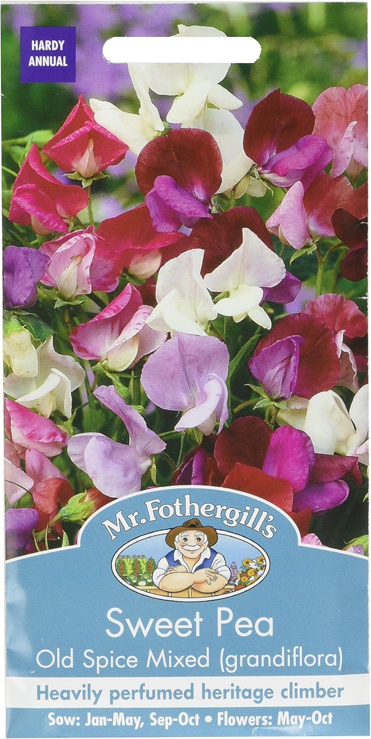 Mr. Fothergill's Old Spice Mixed Tall Sweet Pea Flower Seeds, Multi-Coloured