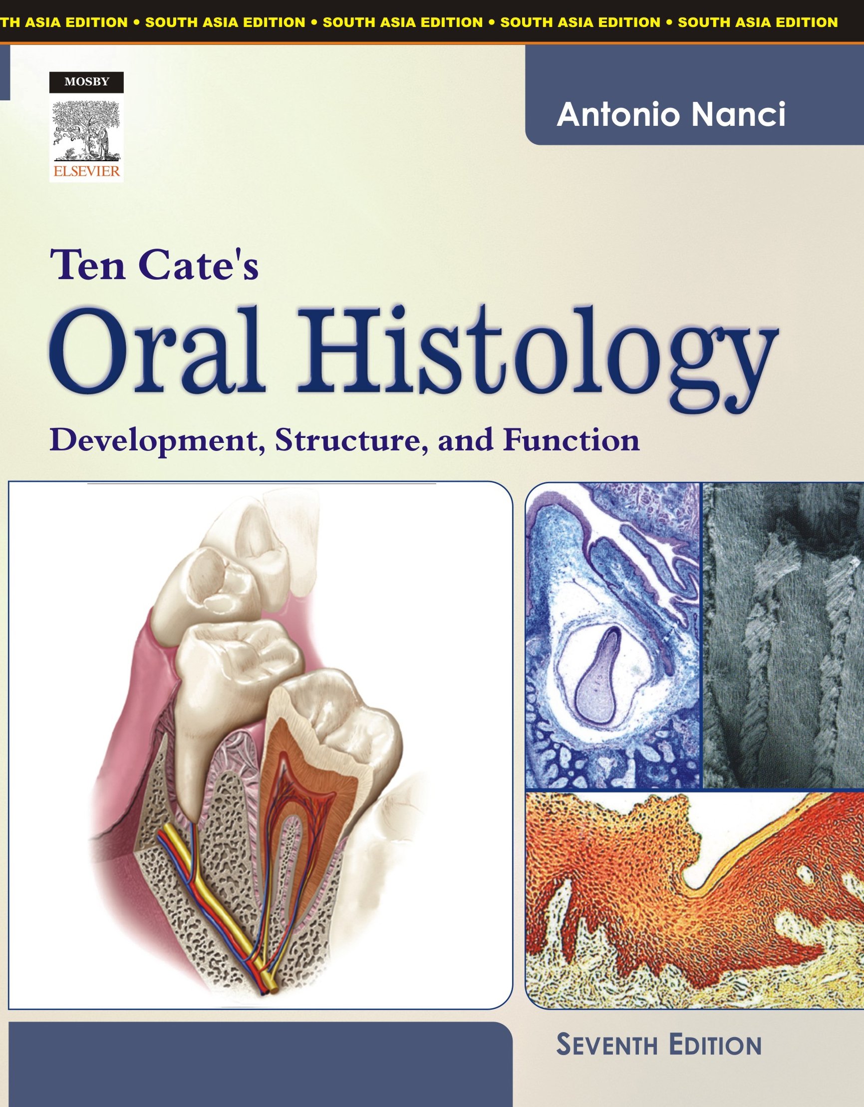Buy Ten Cate S Oral Histology Old Edition Book Online At Low Prices In India Ten Cate S Oral Histology Old Edition Reviews Ratings Amazon In
