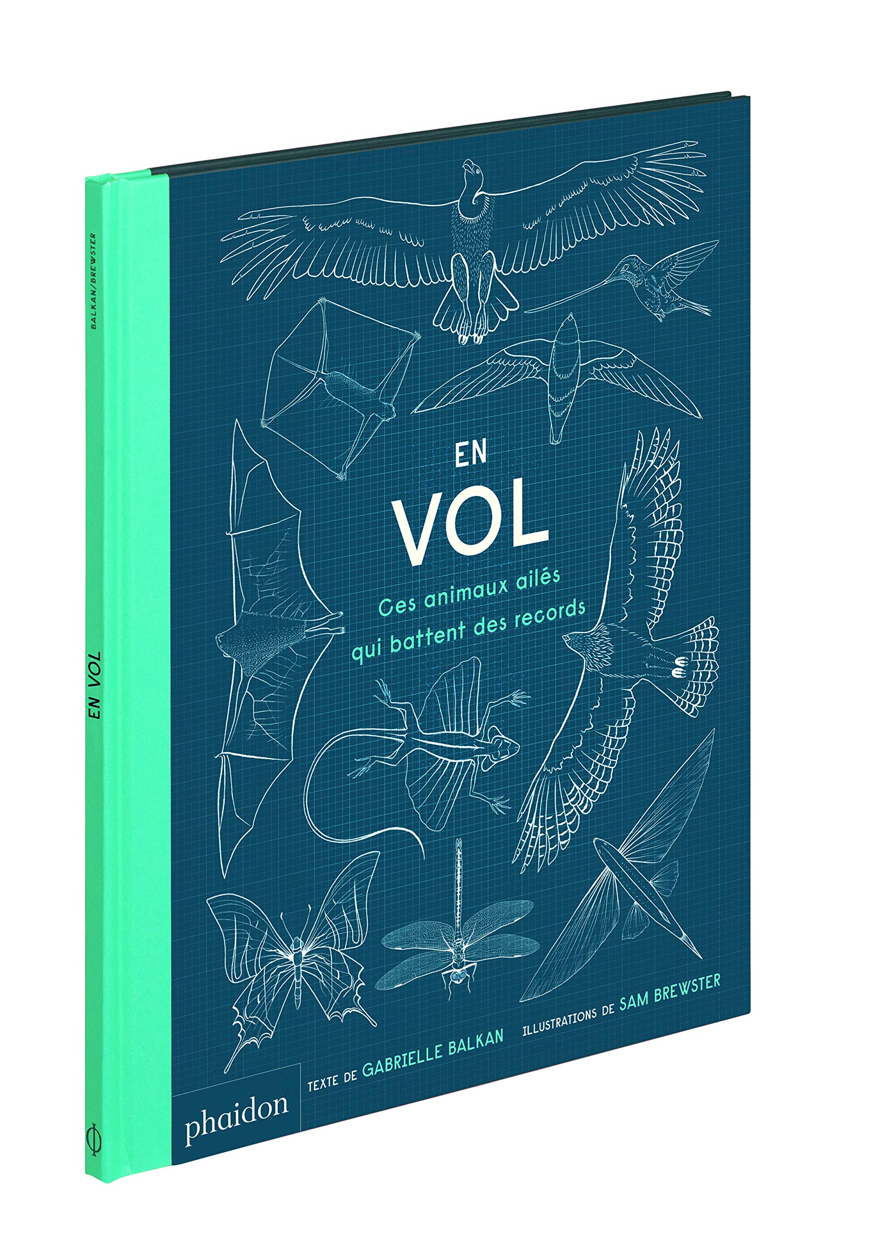 En Vol Ces Animaux Ailés Qui Battent Des Records