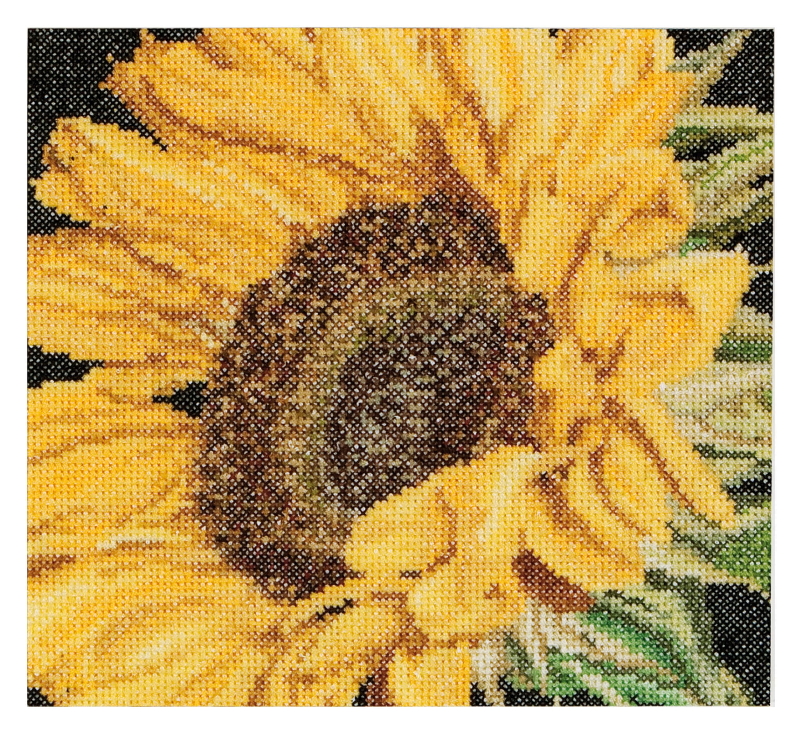 Thea Gouverneur - Counted Cross Stitch Kit - Sunflower - Aida - 18 Count - Embroidery Kit for Adults - DMC Embroidery Threads and Other Cross Stitch Supplies Included - 488A