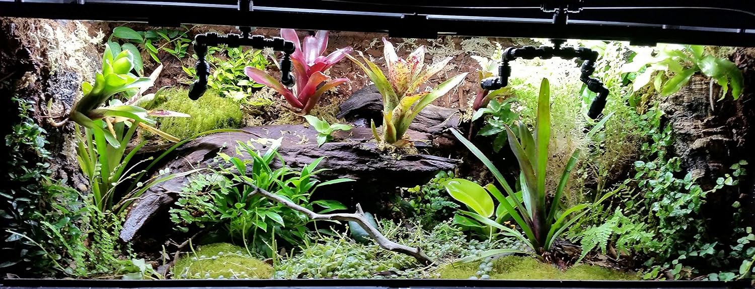 bioactive vivarium kit