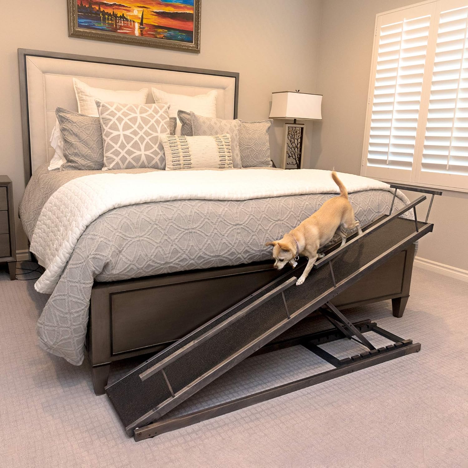 window beds for dogs