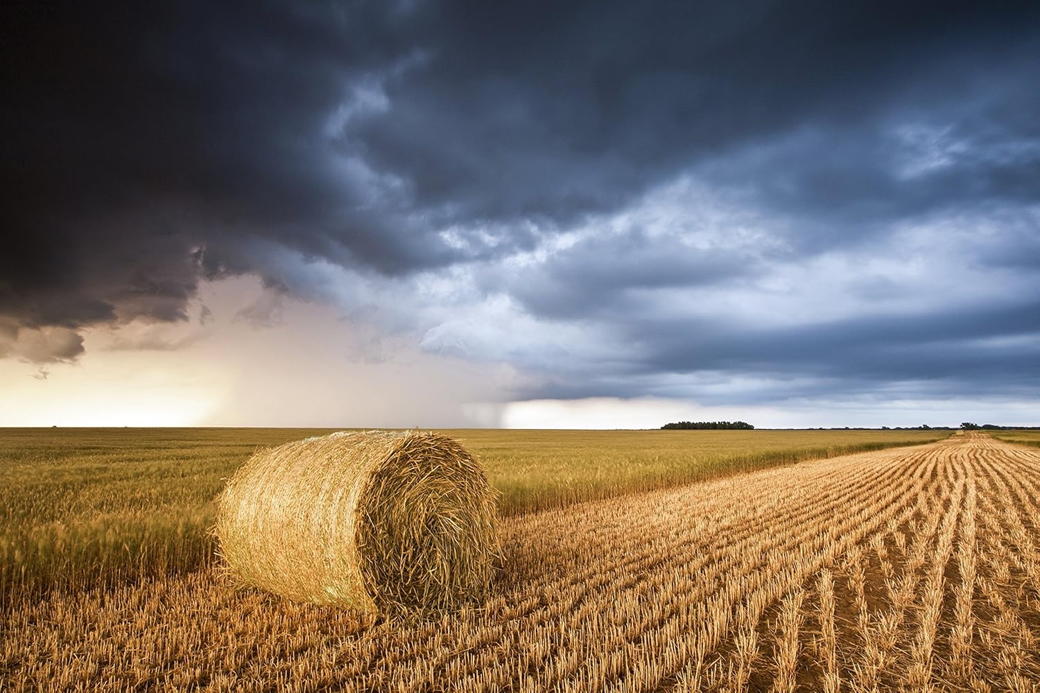 Amazon Com Hay Bale In Golden Wheat Field Under Dark Clouds In Pratt Ks Print Picture Photo Photograph Fine Art Handmade