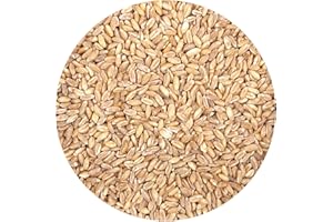 HAMPTON DISTRIBUTION Farro, 2.5 Pound Bulk Bag, Good Source of Dietary Iron, Fiber and Protein, Mediterranean Diet,Salads, Soups