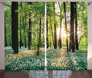 Ambesonne Forest Curtains, Sunny Forest with Wild Garlic Enchanting Wildflowers Blossoms Landscape Scenery, Living Room Bedroom Window Drapes 2 Panel Set, 108" X 84", Green Yellow