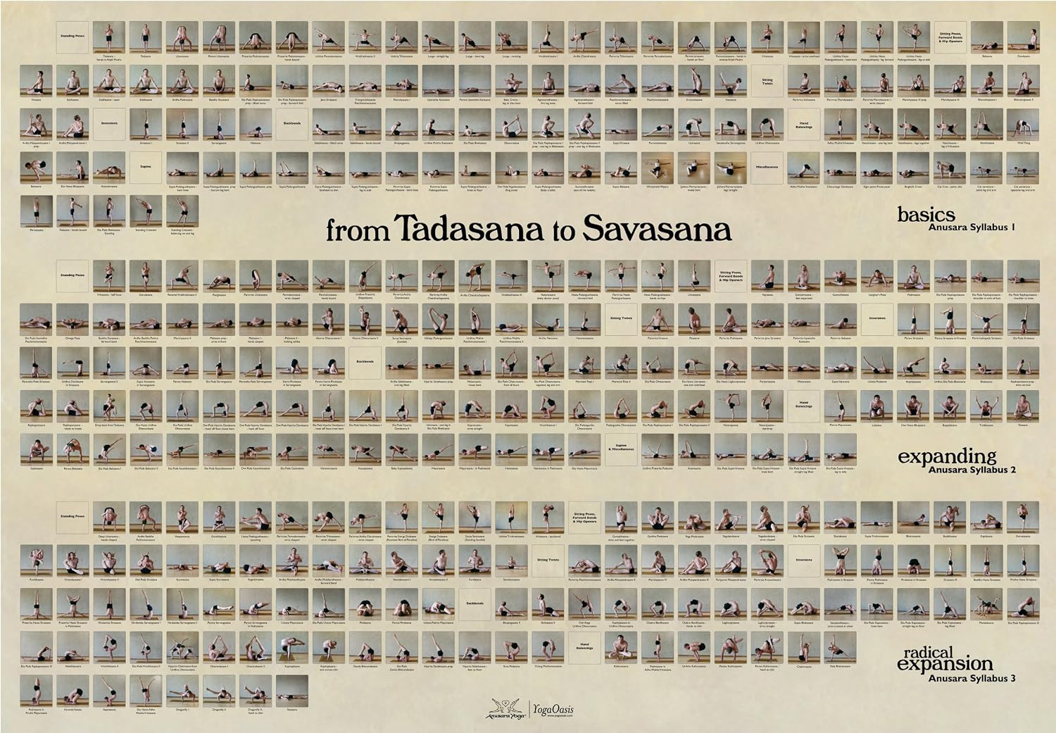 from Tadasana to Savasana Yoga Poster with Darren Rhodes: Amazon from Tadasana to Savasana Yoga Poster with Darren Rhodes: Amazon