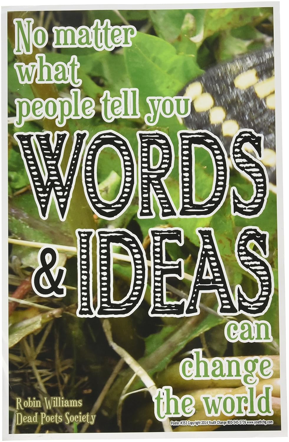 Youth Change Inc Robin Williams Dead Poets Society Quote Poster