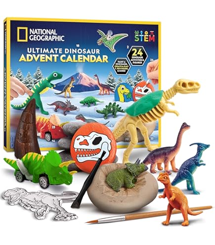 CRECAD Calendario De Adviento 2024 Piedras Preciosas - 24 Días Colección Cuenta Atrás De Navidad Gemas De Piedra Y Natural Minerales - Cristales Regalos Juguetes De Navideño Llegada Para Niños Y Niñas