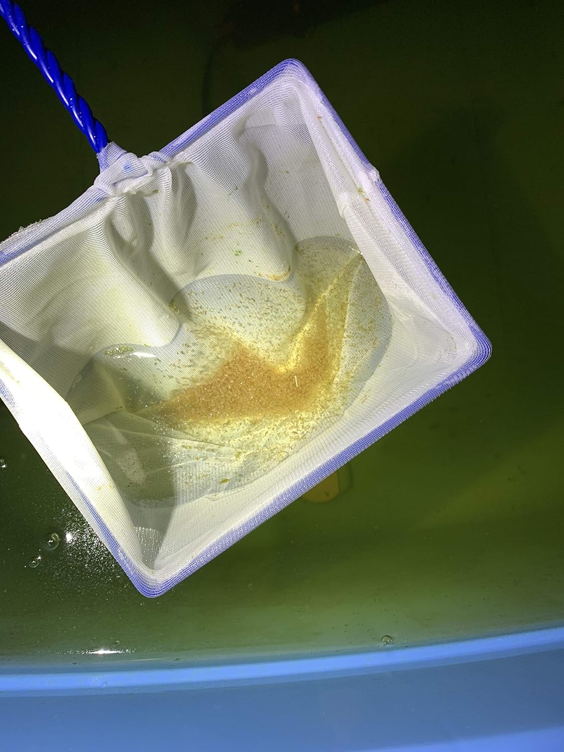 Amazon 活きミジンコ メダカの家族 餌 通販